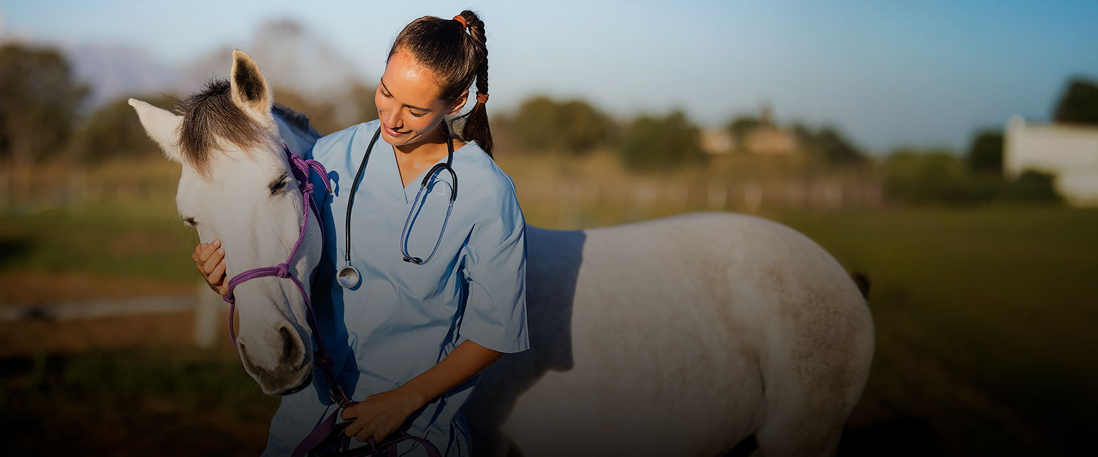 Clínica Médica e Cirúrgica de Grandes Animais