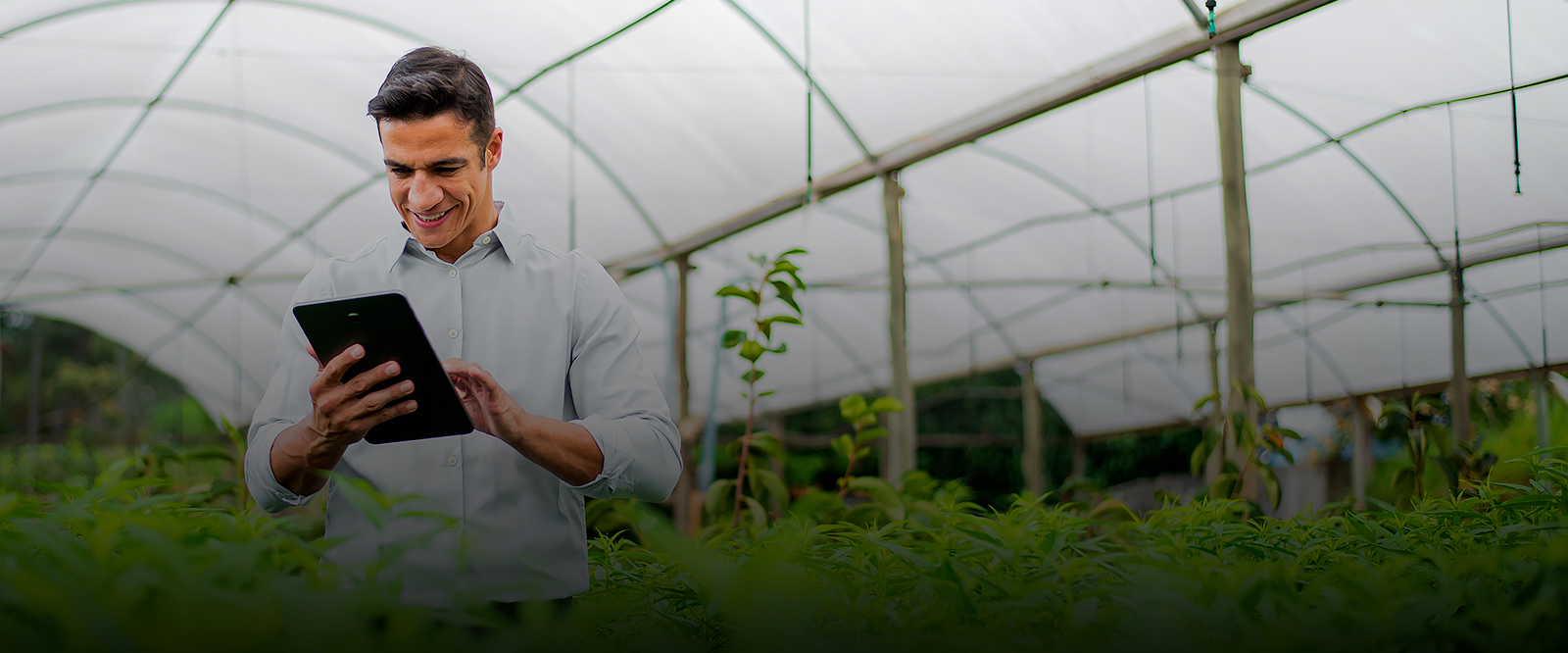 Gestão do Agronegócio