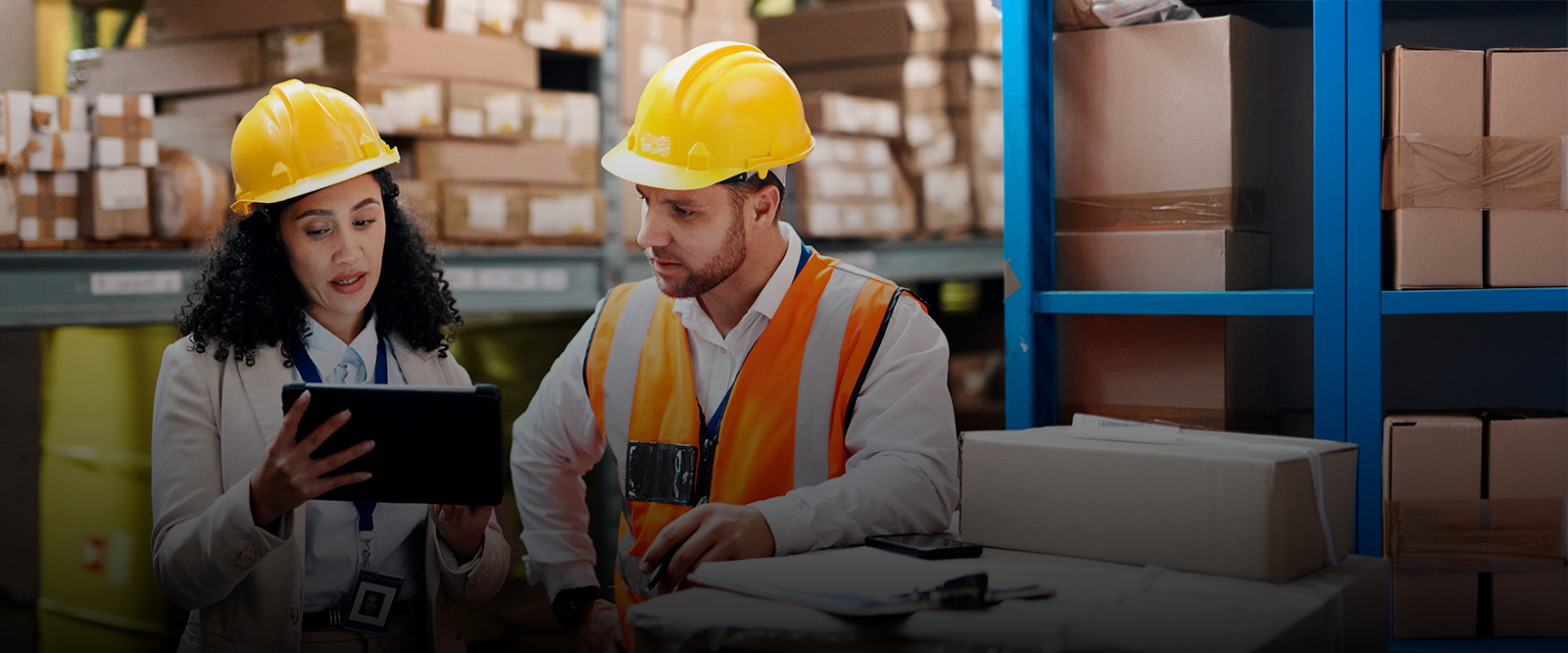 Logística e Gestão da Cadeia de Suprimentos